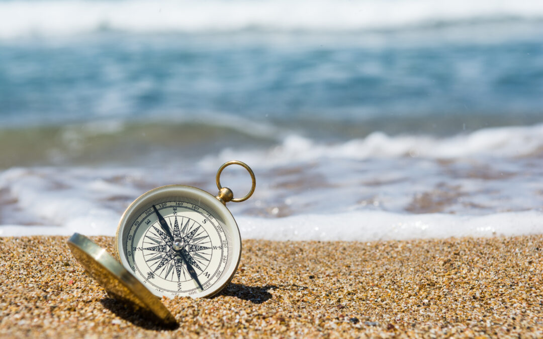 Consolidation in the SAC using the example of expense and income elimination